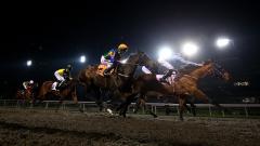Horses on the all-weather
